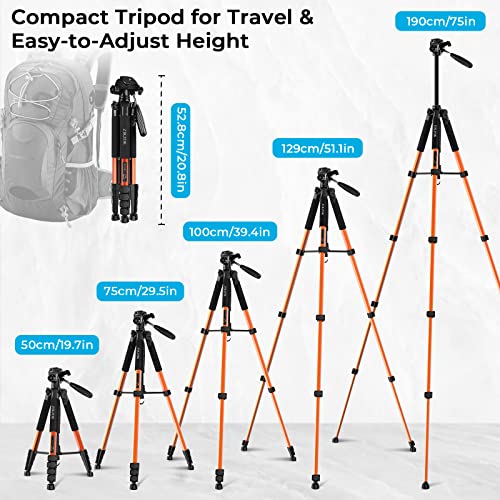 75 inch Travel Camera Tripod, Lightweight Aluminum Video Tripod for DSLR SLR Canon Nikon Sony Olympus DV with Carry Bag