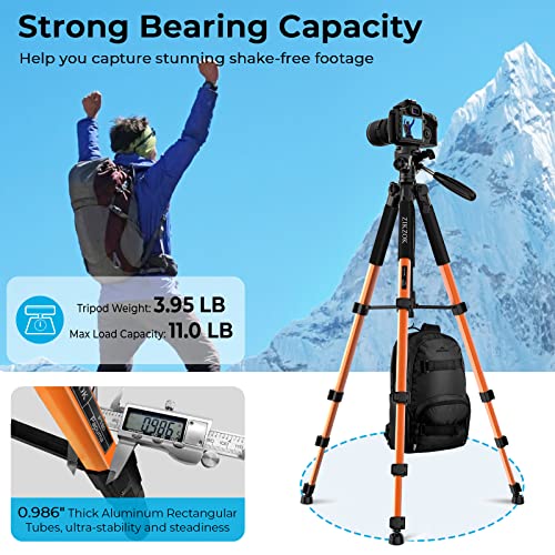 75 inch Travel Camera Tripod, Lightweight Aluminum Video Tripod for DSLR SLR Canon Nikon Sony Olympus DV with Carry Bag