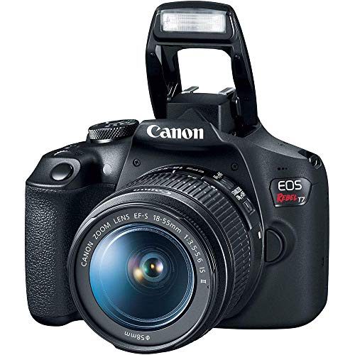 Canon EOS Rebel T7 DSLR Camera with 18-55mm Lens (2727C002) + 64GB Memory Card + Case + Corel Photo Software + 2 x LPE10 Battery + Card Reader + Light + Filter Kit + Wide Angle Lens + More (Renewed)