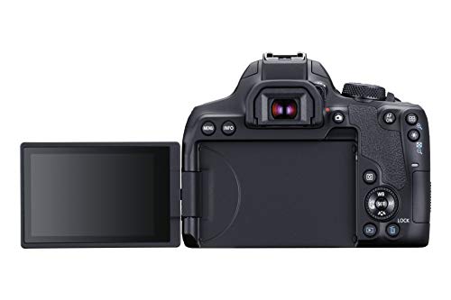 Canon EOS Rebel T8i Body, Black