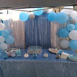 QueenDream Baby Blue Christmas Backdrop Curtains 4 Pieces 2FTx8FT Sequin Photography Background Curtain for Party Decoration