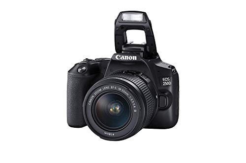 Canon EOS 250D (Rebel SL3) DSLR Camera with 18-55mm & 75-300mm Canon Lenses & Essential Accessory Bundle – Includes: SanDisk Ultra 64GB SDXC Memory Card, Extended Life Spare Battery & More