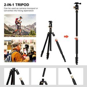 VICIALL 80'' Tripod, Camera Tripod for DSLR, Compact Aluminum Tripod with 360 Degree Ball Head and 8kgs Load for Phone, Camera, Travel and Work