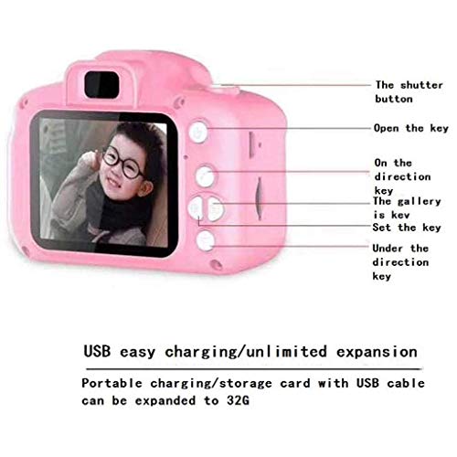 LKYBOA Kids Portable Digital Video Camera 2 Inch LCD Screen Display Camera Digital Cameras Shockproof Digital Video Camera Toy Birthday Gift (Color : Pink)