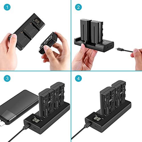 Neewer NP-F550 Battery Charger Set for Sony NP-F970 F750 F960 F530 F570 CCD-SC55 TR516 TR716 and More (2-Pack 2600 mAh Replacement Camera Batteries, Micro USB and Type-C Input Dual Charger)