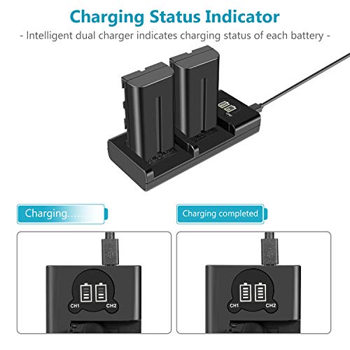 Neewer NP-F550 Battery Charger Set for Sony NP-F970 F750 F960 F530 F570 CCD-SC55 TR516 TR716 and More (2-Pack 2600 mAh Replacement Camera Batteries, Micro USB and Type-C Input Dual Charger)