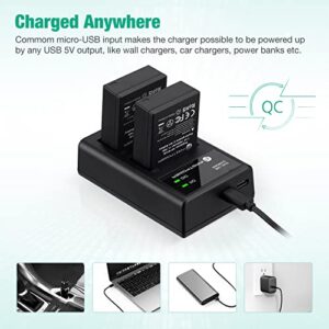 FirstPower NP-W126 NP-W126S Battery (2-Pack) and USB Dual Charger for Fujifilm X100V, X100F, X-A5, X-A10, X-E4, X-Pro2, X-Pro3, X-T1, X-T2, X-T3, X-T10, X-T20, X-T30, X-T30 II, X-T100, X-T200 FinePix