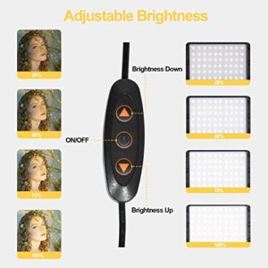 EMART Dimmable Photography Lighting Kit 11 Brightness, Continuous Portable 60 LED Video Light, Tabletop/Low-Angle Shooting, for Game Streams, Conference Zoom, YouTube with 4 Color Filters - 2 Packs