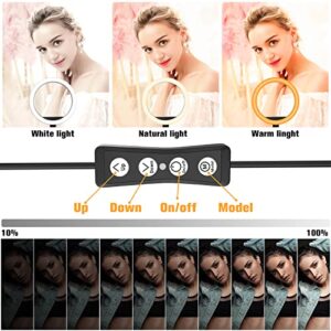 360 Photo Booth Machine 100cm for Parties with Extendable Ring Light Selfie Holder Accessories, 5 People Stand on, Automatic Spin 360 Video Camera Booth Platform Spinner, 39.4” with Flight Case