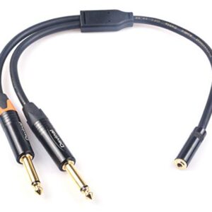 Devinal 3.5mm to Dual 1/4 Y Splitter Cable, 1/8" Female TRS to Dual 6.35mm TS Male Adapter, Female Mini Jack Stereo to 2 Quarter inch Mono Converter 1 feet