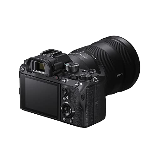 Sony Alpha a7R III A Full-Frame Mirrorless Camera Body (ILCE7RM3A/B, New Version) Bundle with Kingston XS2000 2TB High Performance Pocket-Sized External SSD (2 Items)