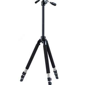 SLIK Pro 700 DX Tripod with 700DX 3-Way, Pan-and-Tilt Head - Titanium