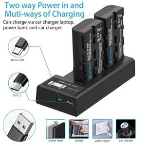 Artman NP-F550 Battery Upgraded LCD Dual Charger Compatible with Sony NPF530 F570 F330 F970 F960 F750 F770 CCD-SC55 TR516 TR716 TR818 TR910 (2-Pack 2900mAh)