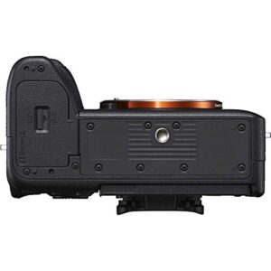 Sony Alpha a7S III Mirrorless Digital Camera (Body Only) (ILCE7SM3/B) + Sony FE 16-35mm Lens + 4K Monitor + Pro Headphones + Pro Mic + 2 x 64GB Memory Card + 3 x NP-FZ-100 Battery + More (Renewed)