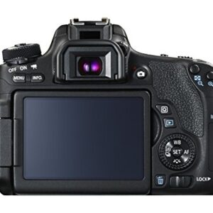 Canon EOS Rebel T6s Digital SLR (Body Only)