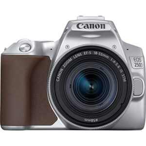 canon eos 250d (rebel sl3) dslr camera w/ 18-55mm is stm lens (silver) (international model)