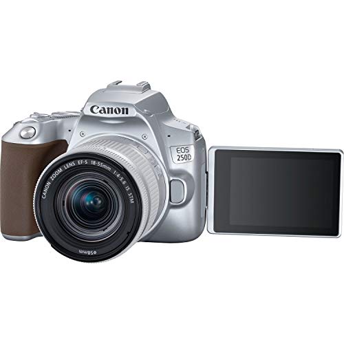 Canon EOS 250D (Rebel SL3) DSLR Camera w/ 18-55mm is STM Lens (Silver) (International Model)