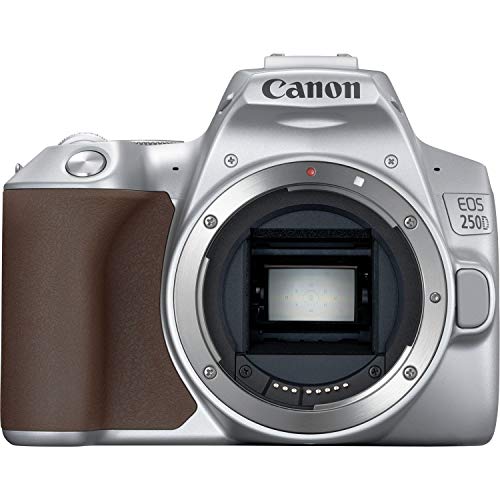 Canon EOS 250D (Rebel SL3) DSLR Camera w/ 18-55mm is STM Lens (Silver) (International Model)