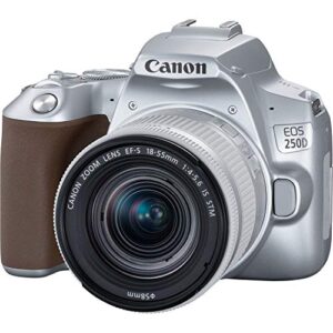 Canon EOS 250D (Rebel SL3) DSLR Camera w/ 18-55mm is STM Lens (Silver) (International Model)