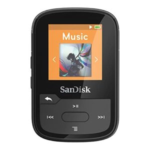 sandisk 16gb clip sport plus mp3 player, black – bluetooth, lcd screen, fm radio – sdmx28-016g-g46k