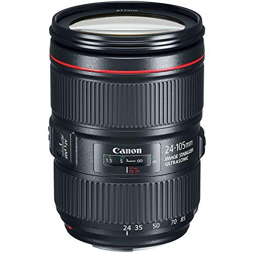 Canon EOS 6D Mark II DSLR Camera with Canon EF 24-105mm f/4L is II USM Lens + Canon EF 75-300mm f/4-5.6 III Lens + Canon EF 50mm f/1.8 STM Lens + Fully Dedicated TTL Flash (23 Items kit) (Renewed)