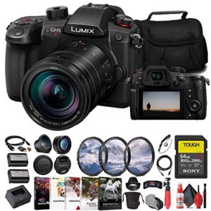panasonic lumix gh5 ii mirrorless camera with 12-60mm lens (dc-gh5m2lk) + sony 64gb tough sd card + filter kit + wide angle lens + telephoto lens + lens hood + charger + card reader + more (renewed)