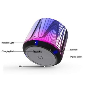 TWS Wireless Portable Mini Bluetooth Speakers with Big Sound, Wireless Stereo Pairing, Metal Enclosure, IP65 Splashproof, Minimalism Design, Nylon Lanyard for Echo Dot/Android/ipad/iPhone/Laptop