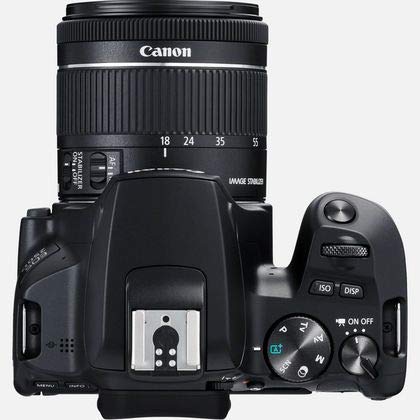 Canon EOS 250D (SL3) Black with EF-S 18-55mm f/4-5.6 is STM Lens and Canon EF 75-300mm f/4-5.6 III Lens in Professional Deluxe Basic Bundle