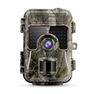 rouroumaoyi Tracking Camera Wildlife Observation Camera HH-662 16MP 1080P 0.6S Motion Digital Infrared Trail Camera Night Vision Wild Cam Photo Traps Game Camera (Color : HH-662)