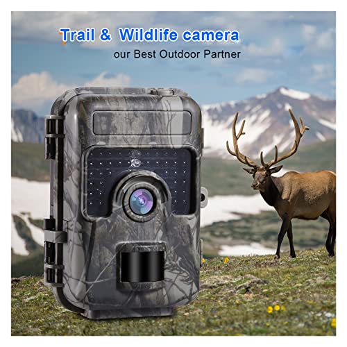 rouroumaoyi Tracking Camera Wildlife Observation Camera HH-662 16MP 1080P 0.6S Motion Digital Infrared Trail Camera Night Vision Wild Cam Photo Traps Game Camera (Color : HH-662)