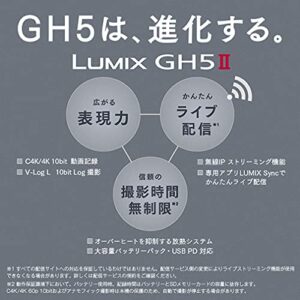 Panasonic DC-GH5M2 LUMIX 5G/4K/Live Support/USB Charging Digital Camera Japan Version (Body only)