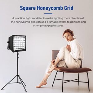 NEEWER 12.2” x 11.4” Foldable Softbox Diffuser with Grid and Bag for NEEWER NL660/SNL660/RGB660/SNL530 LED Video Light Panel, Ideal for Photo Video Studio Portrait Photography, YouTube Video Lighting