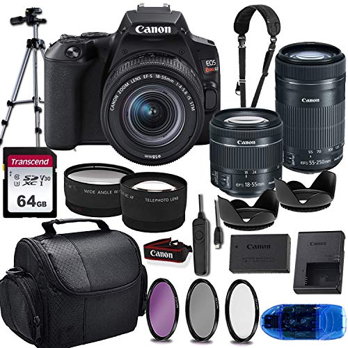 Rebel SL3 DSLR Camera & 18-55mm STM + 55-250mm STM Lens w/ 64GB Transcend Memory Card, Shoulder Sling Strap, Gadget Bag & More Essential Accessory Bundle