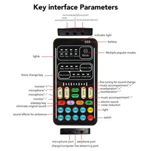 Handheld Voice Changer, Portable Multifunctional Voice Disguiser, Mini Sound Card with 8 Sound Effects Sound Changes, 450mAh Battery, Compatible with Mobile Phone, Computer, Tablet(I9 English Edition)