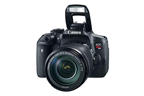 Canon T6i EOS Rebel DSLR Camera with EF-S 18-135mm f/3.5-5.6 is STM Lens + 16 GB Sunshine Basic Bundle