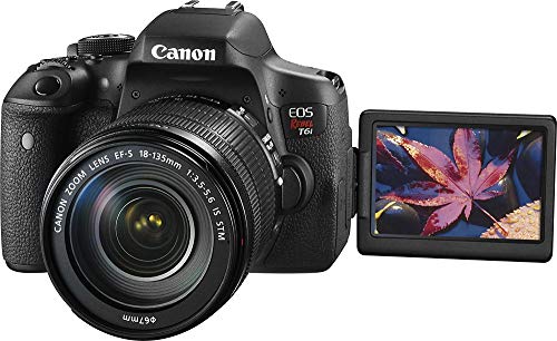 Canon T6i EOS Rebel DSLR Camera with EF-S 18-135mm f/3.5-5.6 is STM Lens + 16 GB Sunshine Basic Bundle