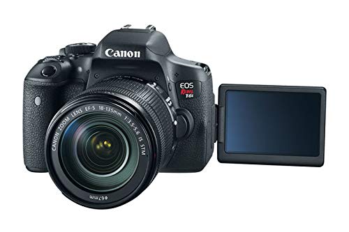 Canon T6i EOS Rebel DSLR Camera with EF-S 18-135mm f/3.5-5.6 is STM Lens + 16 GB Sunshine Basic Bundle