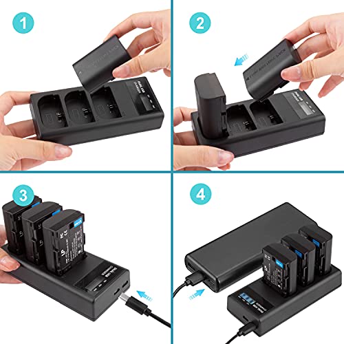 LP-E6 LP E6N Battery Charger Pack, LP 3-Pack Battery & Triple Slot Charger Compatible with Canon EOS 90D, 80D, 70D, 60D, 60DA, 7D Mark II, 7D, 6D Mark II, 6D, 5D Mark IV, 5D Mark III, 5D Mark II, R,R5