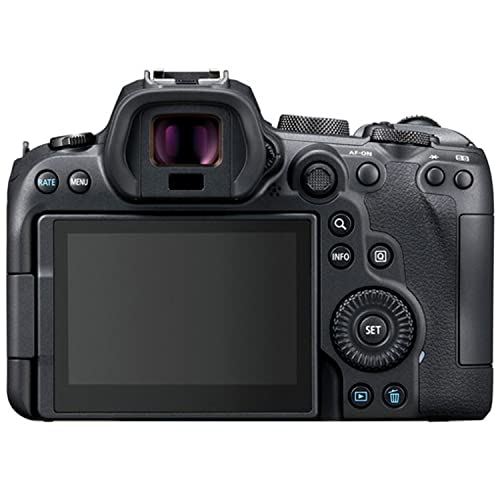 Canon EOS R6 Mirrorless Camera w/RF 24-105mm f/4-7.1 is STM Lens + EF 75-300mm f/4-5.6 III Lens + 2X 64GB Memory + Hood + Case + Filters + Tripod & More (35pc Bundle)