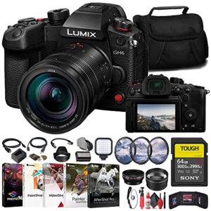 panasonic lumix gh6 mirrorless camera with 12-60mm f/2.8-4 lens (dc-gh6lk) + sony 64gb tough sd card + filter kit + wide angle lens + telephoto lens + lens hood + card reader + more