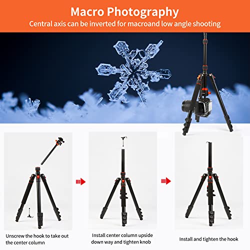 Nietoto New Professional Camera Tripod, Aluminum Travel Tripod for Camera, DSLR Camema Tripod, Compact Professional Camera Tripod Monopod with 360 Panorama Ball Head, 1/4 QR Plate, Carry Bag