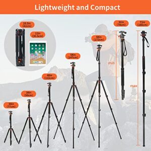 Nietoto New Professional Camera Tripod, Aluminum Travel Tripod for Camera, DSLR Camema Tripod, Compact Professional Camera Tripod Monopod with 360 Panorama Ball Head, 1/4 QR Plate, Carry Bag