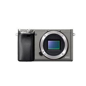 camera a6000 mirrorless digital camera body only silver ilce-6000-24.3mp -full hd video digital camera (color : a)