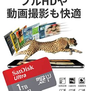 Lexar Professional 633x 1TB SDXC UHS-I Card (LSD1TCBNA633) , Black