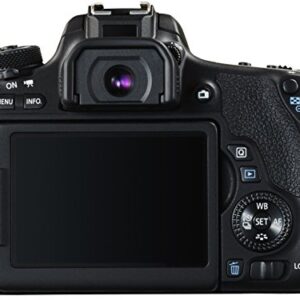 Canon DSLR camera EOS 8000D body 24.2 million pixels EOS8000D [International Version, No Warranty]