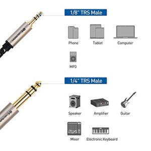 Cable Matters Premium Braided 3.5mm to 1/4 Inch Audio Cable 6 ft (1/4 to 3.5mm Cable)