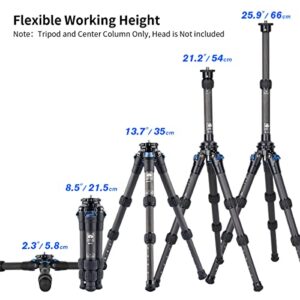 SIRUI AM223 Travel Carbon Fiber Mini Tripod with SL-100 Two-Section Carbon Center Column