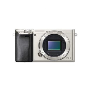 DYOSEN Digital Camera A6000 Mirrorless Digital Camera Silver ILCE-6000-24.3MP -Full HD Video Digital Camera Photography (Color : C)