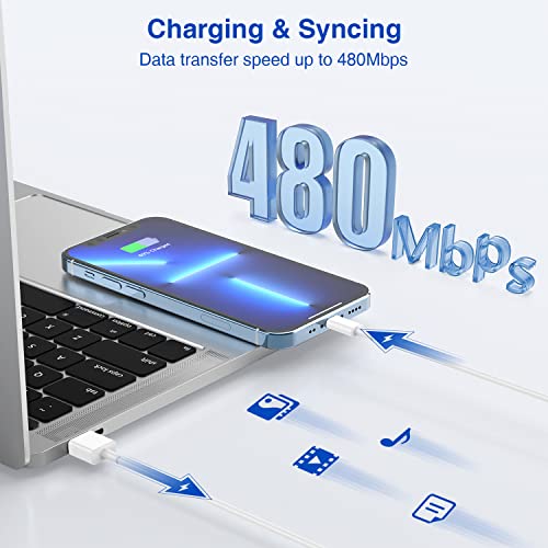 [Apple MFi Certified] iPhone Charger with Block 10 ft Cable, USB Wall Charger and Long 10 Feet Lightning Cord, 12W 2 Ports Charging Plug Block Box for iPhone 12/11/XR/X/Xs/Xr/8/7/6/6s Plus/SE/5c/iPad