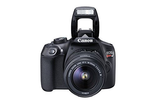 Canon EOS Rebel T6 Digital SLR Camera Kit with EF-S 18-55mm f/3.5-5.6 DC III Lens (Black)